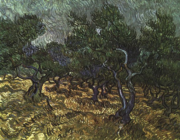 Vincent Van Gogh The Olive Grove china oil painting image